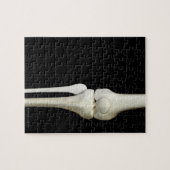 Botten van de knie 4 legpuzzel (Horizontaal)