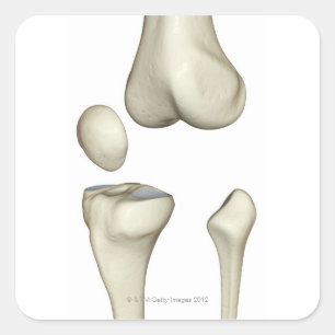 Botten van de knie 5 vierkante sticker