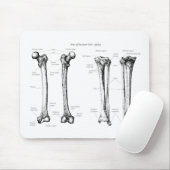 Botten van de onderste ledematen muismat (Met muis)