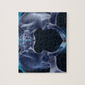 Botten van de Pelvis Legpuzzel (Verticaal)