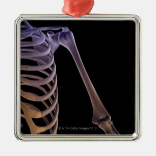 Botten van de schouder metalen ornament