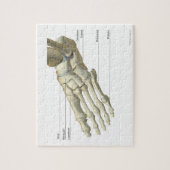 Botten van de voet 15 legpuzzel (Verticaal)