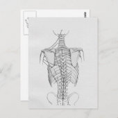 Botten van de wervelkolom briefkaart (Voorkant / Achterkant)