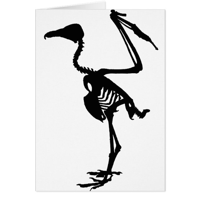 Botten van de wijnbouw (Voorkant)