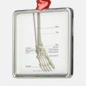 Botten van Foot 6 Metalen Ornament (Links)