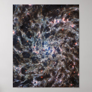 Botten van Galaxy IC5332 van JWST Poster