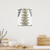 Botten van Lumbar Vertebrae Poster (Keuken)
