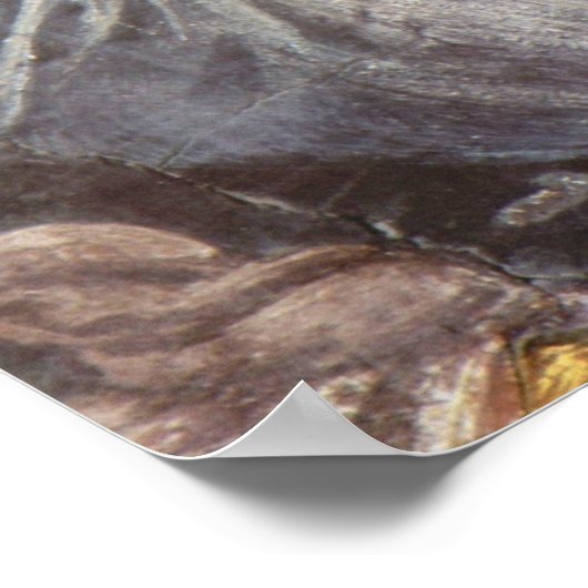 Botticelli-Sistine Chapel - De jeugd van Mozes 3 Poster (Hoek)