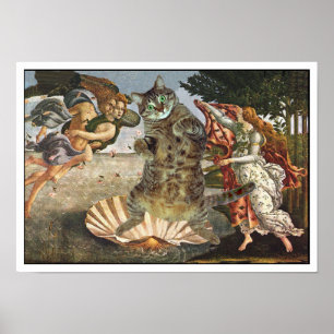 Botticelli's kat poster
