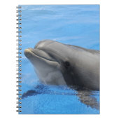 Bottlenosdolfijn Notitieboek (Voorkant)