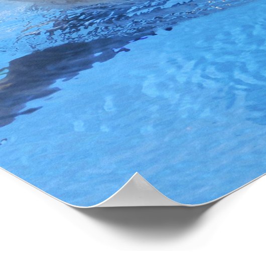 Bottlenosdolfijn Poster (Hoek)