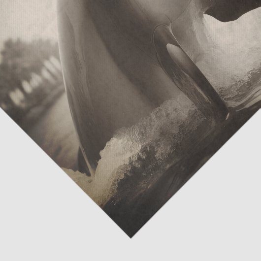 Bottlenose Dolfijn Foto Decoupage Tissuepapier (Detail)