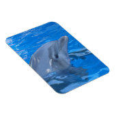 Bottlenose Dolfijn Premium Magneet (Rechterzijde)