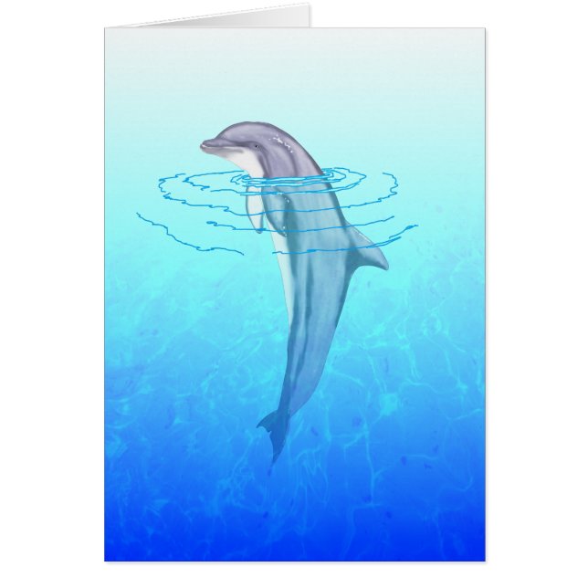 Bottlenose Dolphin (Voorkant)