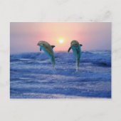 Bottlenose Dolphin bij zonsopgang Briefkaart (Voorkant)