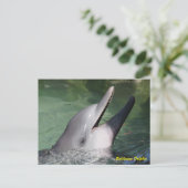 Bottlenose Dolphin Briefkaart (Staand voorkant)