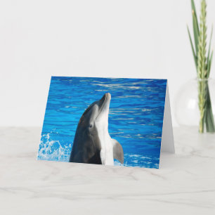Bottlenose Dolphin Kaart