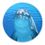 Bottlenose Dolphin kijkt naar de camera onder wate Keramische Knop (Voorkant)