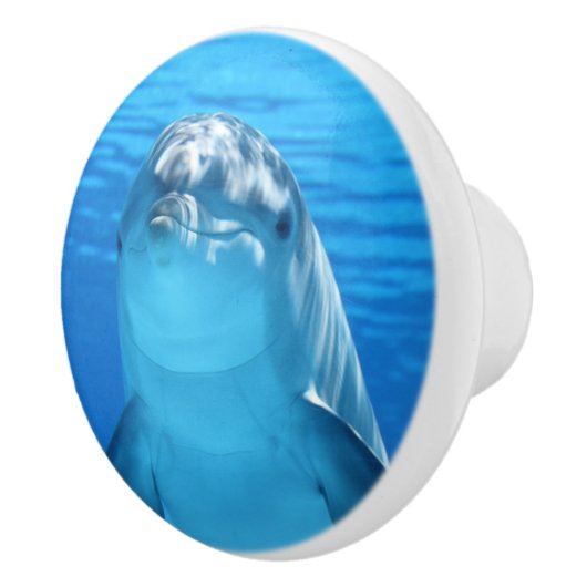 Bottlenose Dolphin kijkt naar de camera onder wate Keramische Knop (Rechts)