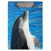 Bottlenose Dolphin Klembord (Voorkant)
