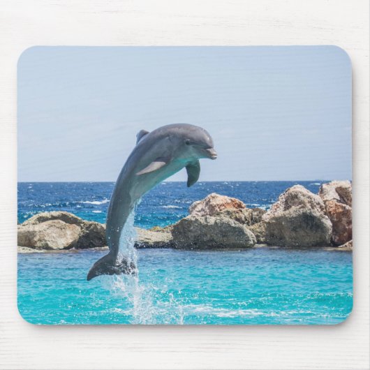 Bottlenose Dolphin Muismat (Voorkant)