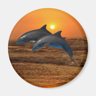 Bottlenose Dolphin op Sunset Magneet