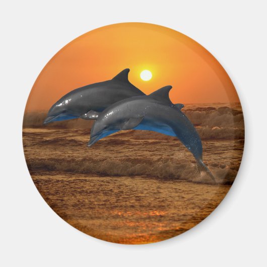 Bottlenose Dolphin op Sunset Magneet (Voorkant)