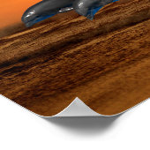 Bottlenose Dolphin op Sunset Poster (Hoek)