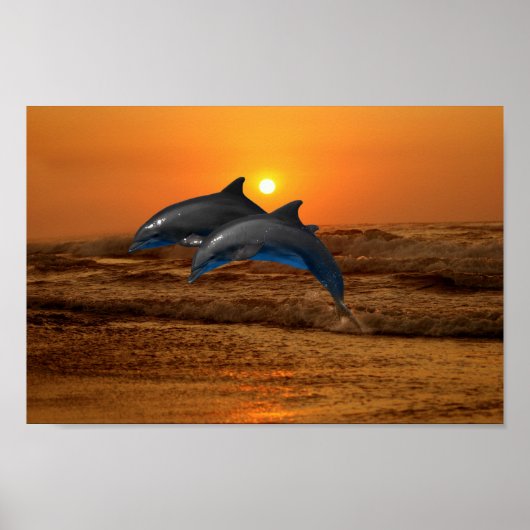 Bottlenose Dolphin op Sunset Poster (Voorkant)