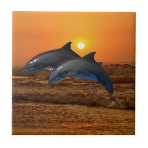 Bottlenose Dolphin op Sunset Tegeltje