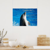 Bottlenose Dolphin Poster (Keuken)
