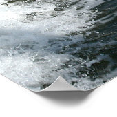 Bottlenose Dolphin Poster (Hoek)