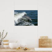 Bottlenose Dolphin Poster (Keuken)