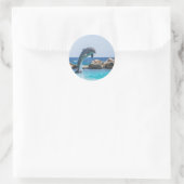 Bottlenose Dolphin Ronde Sticker (Tas)