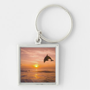 Bottlenose Dolphin springen 2 Sleutelhanger