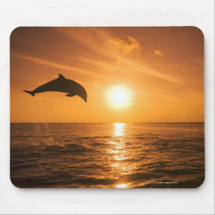 Bottlenose Dolphin springen Muismat