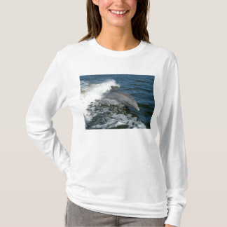 Bottlenose Dolphin T-shirt