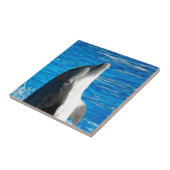 Bottlenose Dolphin Tegeltje (Zijkant)