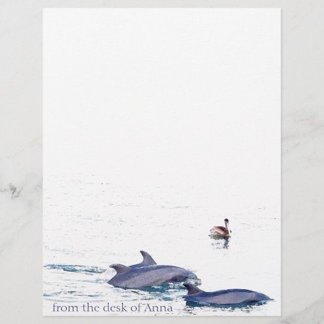 Bottlenose Dolphins Letterhead (Voorkant)