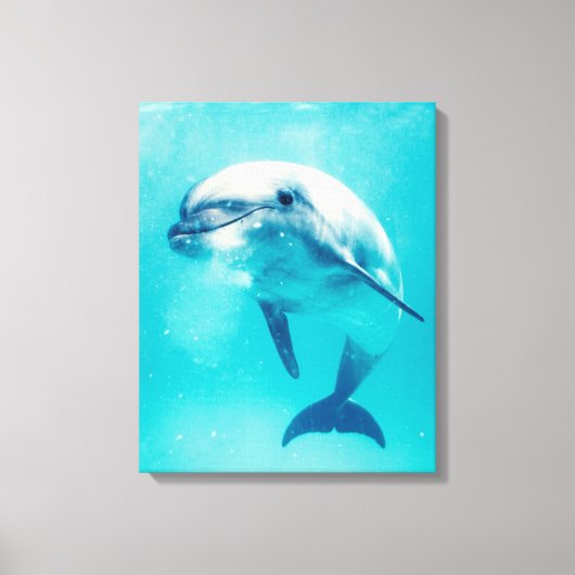 Bottlenosed dolfijn onderwater canvas afdruk (Voorkant)