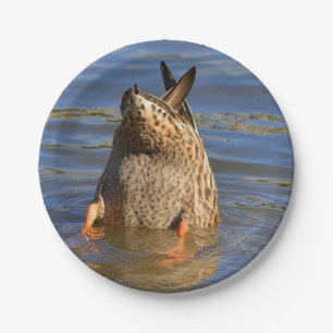 Bottomaten omhoog duikend Bord