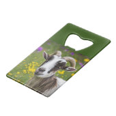 Bouc séduisant  (Devant Angle)