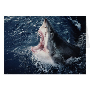 Bouche de requin élevée ouverte