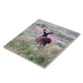 Bouchon blanc en carreaux céramiques de terrain d' (Côté)