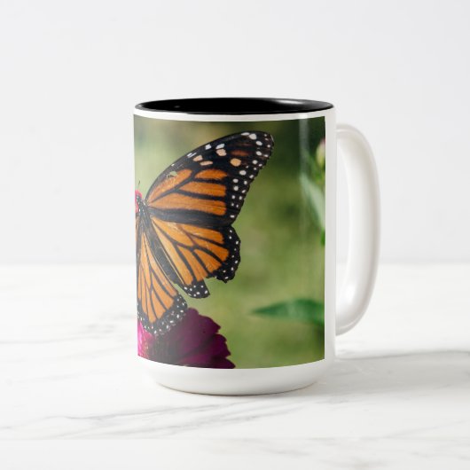 Bouchons et tasses à papillon (Devant droit)