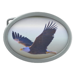 Boucle De Ceinture Ovale Aigle volant