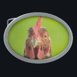 Boucle De Ceinture Ovale Animal de ferme drôle de poulet<br><div class="desc">Photo drôle de portrait d'un poulet sur un fond vert.</div>