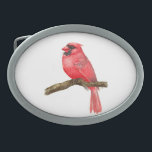 Boucle De Ceinture Ovale Aquarelle cardinale<br><div class="desc">illustration d'un oiseau cardinal sur une branche peinte d'aquarelles,  vous pouvez voir le processus de peinture ici : http://bit.ly/2zCeRZe</div>