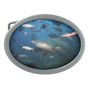 Boucle De Ceinture Ovale Baignade avec requins