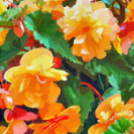 BOUCLE DE CEINTURE OVALE BEGONIAS<br><div class="desc">Une jolie aquarelle de begonias jaune et rose.</div>